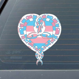 Transgender Boa Constrictors, Snake Heart - LGBTQ+ Flag - Indoor Outdoor Vinyl Decal, Great for Snake Owners