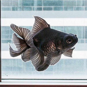Black Goldfish - Full Color Vinyl Decal OR Static Window Cling