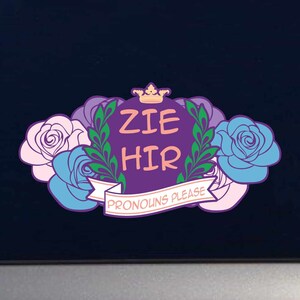 Zie Hir Gender Pronouns Please Full Color Decal