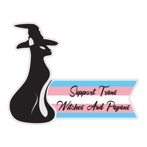 May include: Black silhouette of a cat wearing a witch's hat, sitting in front of a banner with the text "Support Trans Witches And Pagans" in black text on a blue, pink, and white background.