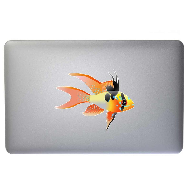 Ram Cichlid, The blue ram, Mikrogeophagus Ramirezi Aquarium Fish Indoor Outdoor Vinyl Decal image 2