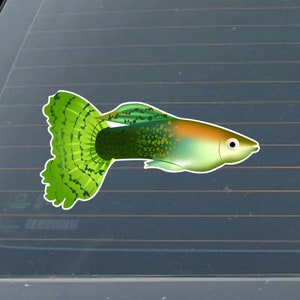 May include: A green and orange guppy fish with a long, flowing tail fin. The fish is illustrated in a cartoon style.