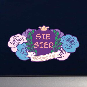 Sie Sier Gender Pronouns Please Full Color Decal