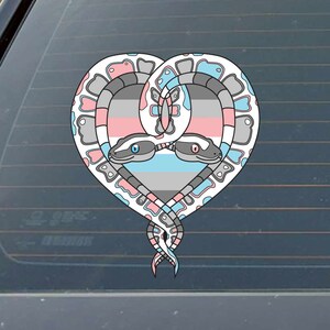 May include: Two snakes intertwined in a heart shape, with a transgender pride flag pattern in the center. The snakes are white with pink and gray markings.