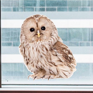 Tawny Owl - Full Color Static Window Cling