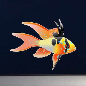 Ram Cichlid, The blue ram, Mikrogeophagus Ramirezi Aquarium Fish Indoor Outdoor Vinyl Decal image 1