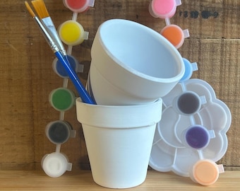 Paint Your Own Flower Pot Kit ~ DIY Craft Project ~ Two Clay Pots & 12 Paints!