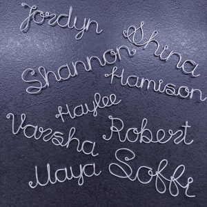 以下が含まれることがあります： ジョルダン、シャノン、シーナ、ハリソン、ヘイリー、ヴァルシャ、ロバート、マヤ、ソフィーなど、銀線で書かれた9つの名前のコレクションです。