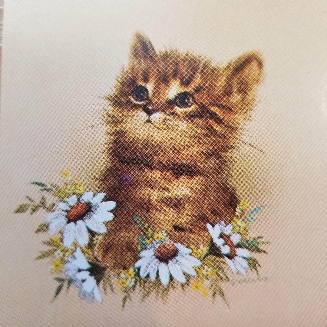 Adorable framed Vintage Kitten Art Etsy