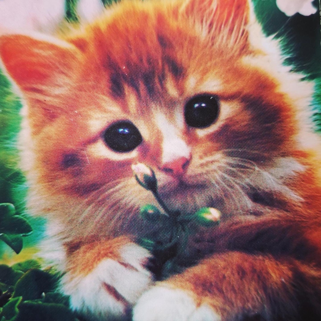 Adorable framed Vintage Kitten Art Etsy