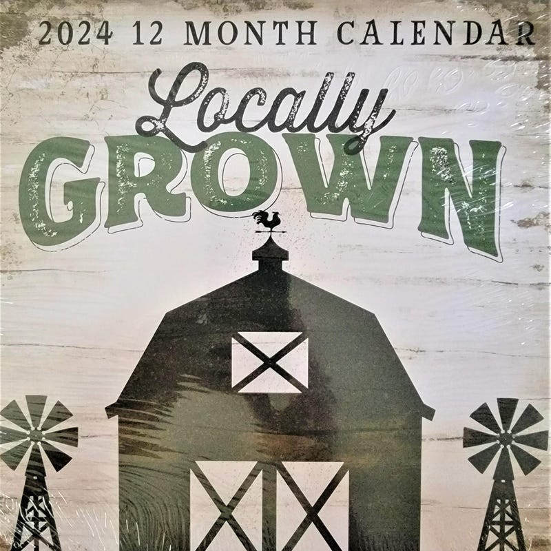 2025 Dollar Tree Calendar Etsy