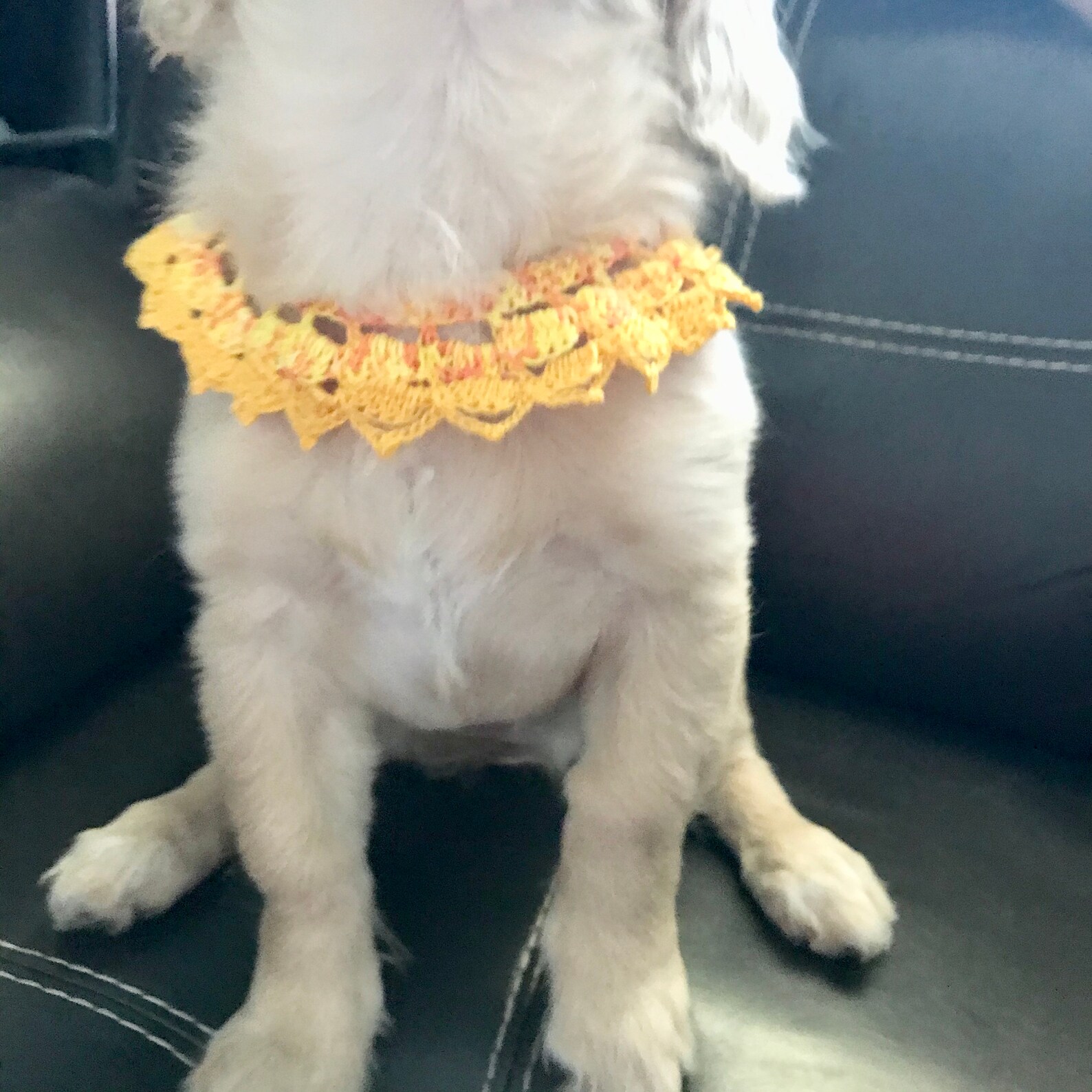 Halloween Puppy Necklace Crochet Pet Necklace Puppy Etsy