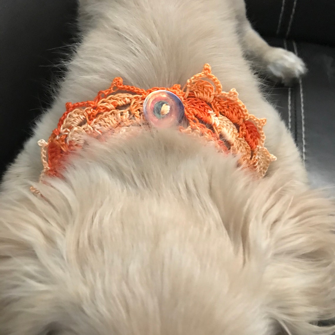 Halloween Puppy necklace crochet pet necklace puppy Etsy