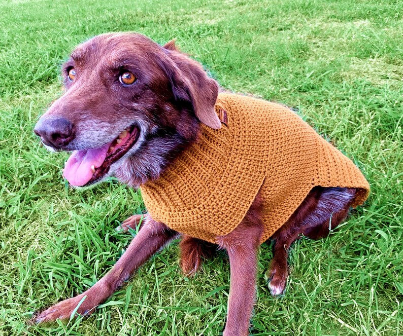 Dog Sweater Crochet Dog Sweaters for Large Dogs Dog Clothes Etsy