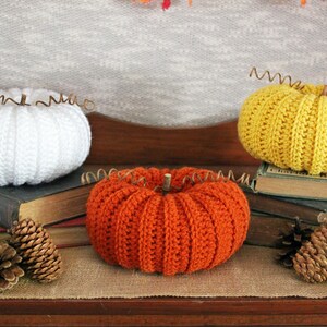 May include: Three crocheted pumpkins, one white, one orange, and one yellow, are displayed on a wooden surface. Each pumpkin has a wire stem and is sitting on a stack of old books. There are pine cones on the surface in front of the pumpkins.