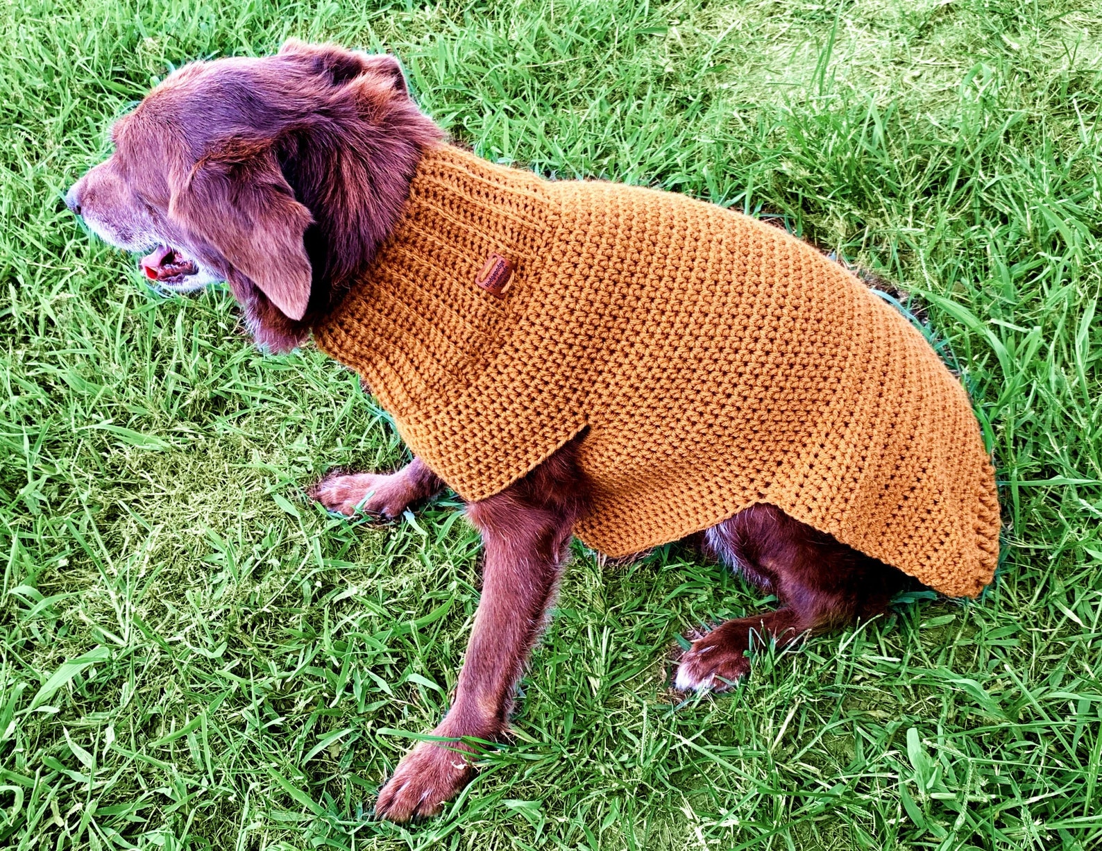 Dog Sweater Crochet Dog Sweaters for Large Dogs Dog Clothes Etsy