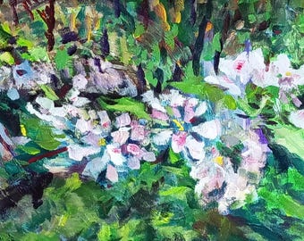 Apple Blossoms   Blair Pessemier