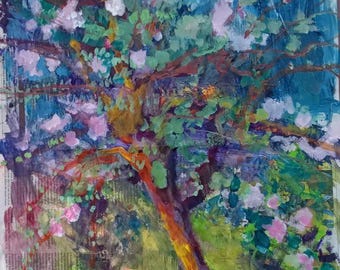 My Apple Tree