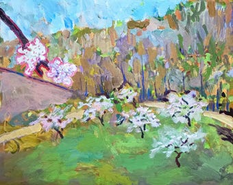 Cherry Trees on the Walk  Blair Pessemier