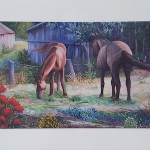 Carte  anniversaire chevaux grange fleurs gazon paysage d'été dans la nature au gré du vent carte sans texte avec enveloppe blanche à offrir