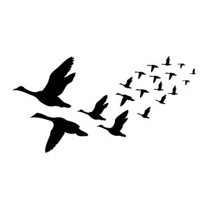 Duck decal sticker