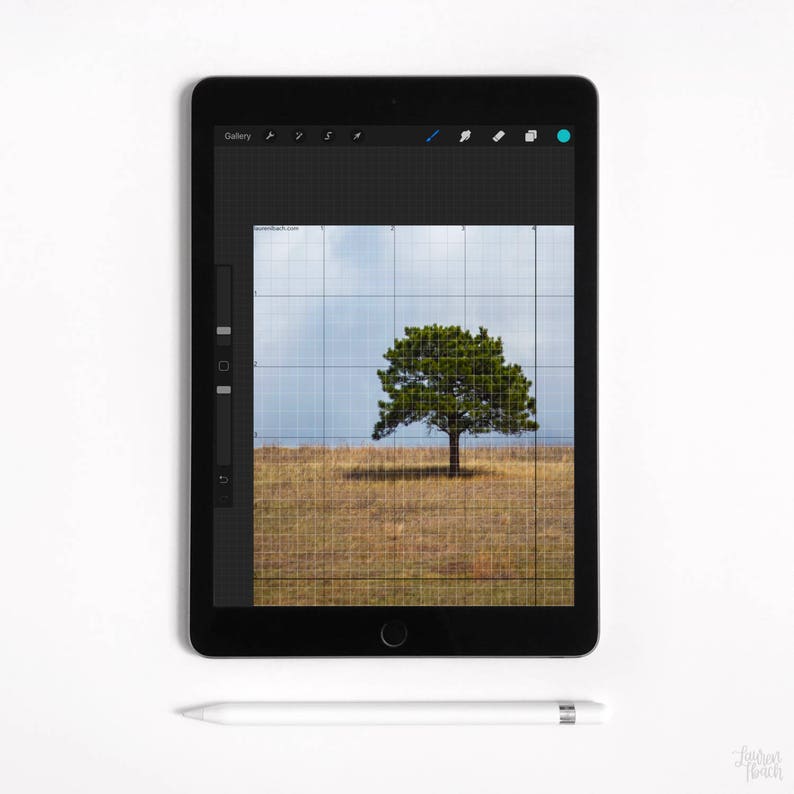 Procreate Grid Pack // 5 grids for 5 common paper sizes // Etsy