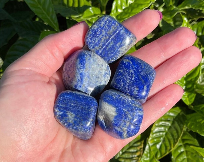 ONE Large Natural Lapis Lazuli Tumbled Stone Premium Quality A Grade Crystal