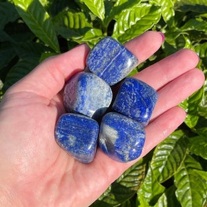 ONE Large Natural Lapis Lazuli Tumbled Stone Premium Quality A Grade Crystal