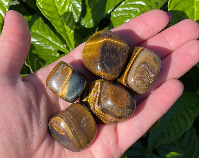 ONE Large Natural Tiger Eye Tumbled Stone AB Grade Crystal