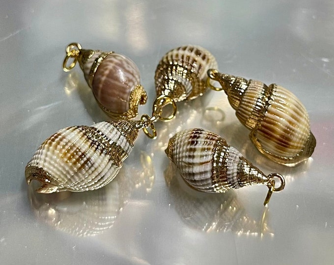 Natural Sea Shell Pendant | 18K Gold Plated Spiral Conch Shell | Sold by Pkg of 5 Pieces | Size 20~40mm