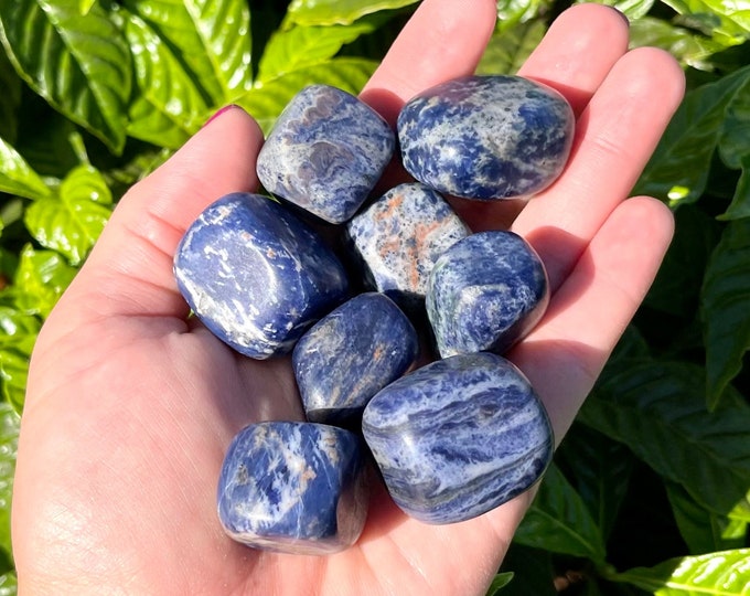 ONE Large Natural Sodalite Tumbled Stone Premium Quality A Grade Crystal