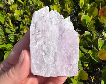ONE Large Raw Kunzite Rough Stone
