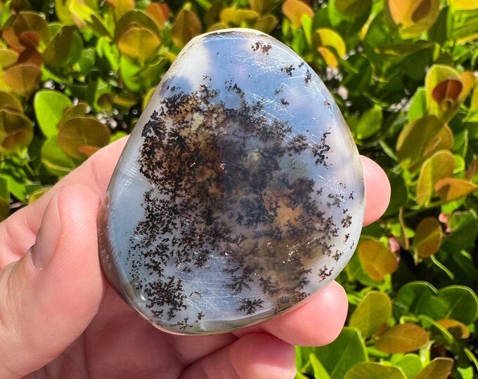 Natural Dendritic Agate Tumbled Stone