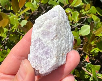 ONE Large Raw Kunzite Rough Stone