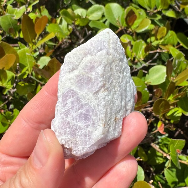 ONE Large Raw Kunzite Rough Stone