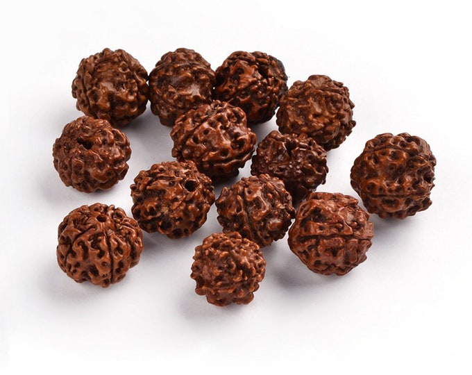 Natural Rudraksha Wood Beads | Sold by Pkg of 10 Beads | Size 16-20x18x21mm | Hole 2mm
