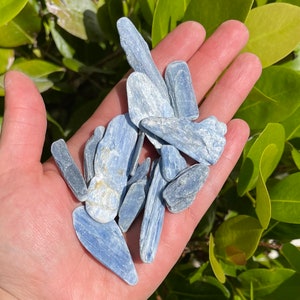 Natural Blue Kyanite Blades: Choose Ounces or lb Bulk Wholesale Lots (Premium Quality &#39;A&#39; Grade Kyanite Crystals)