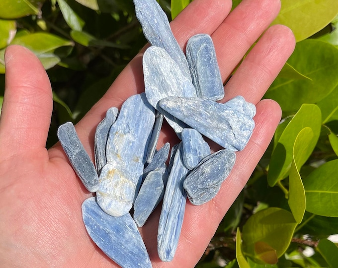 Natural Blue Kyanite Blades: Choose Ounces or lb Bulk Wholesale Lots (Premium Quality 'A' Grade Kyanite Crystals)