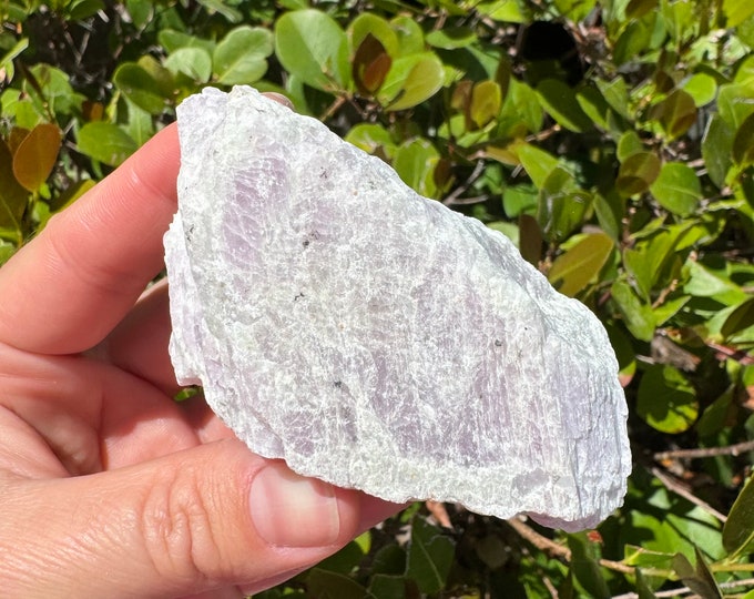 ONE Large Raw Kunzite Rough Stone