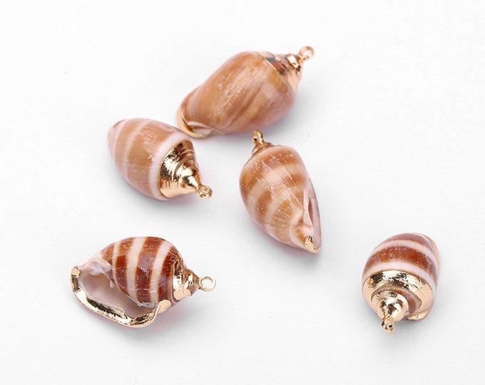 Natural Sea Shell Pendant | 18K Gold Plated Spiral Conch Shell | Sold by Pkg of 5 Pieces | Size 20~40mm