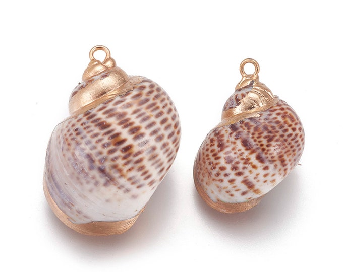 Natural Sea Shell Pendant | 18K Gold Plated Spiral Conch Shell | Sold by Pkg of 5 Pcs | Size 25~30x18~24mm