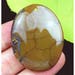 Brown Dragon Veins Agate Oval Pendant Focal Bead 47x36x6mm