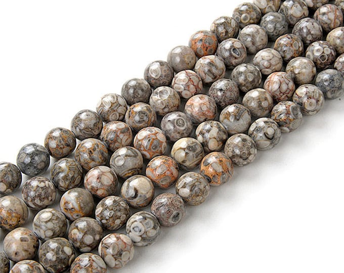 Ocean Fossil Jasper Beads | Maifan Jasper Beads | Round Natural Gemstone Loose Beads | Sold by 15 Inch Strand | Size 4mm 6mm 8mm 10mm 12mm