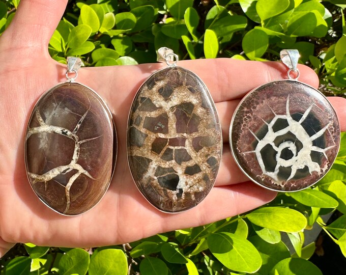 Natural Septarian Nodule Dragon Stone Gemstone Pendants | 925 Silver Plated | Size 2 Inches