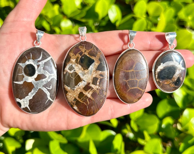 Natural Septarian Nodule Dragon Stone Gemstone Pendants | 925 Silver Plated | Size 1-2 Inches