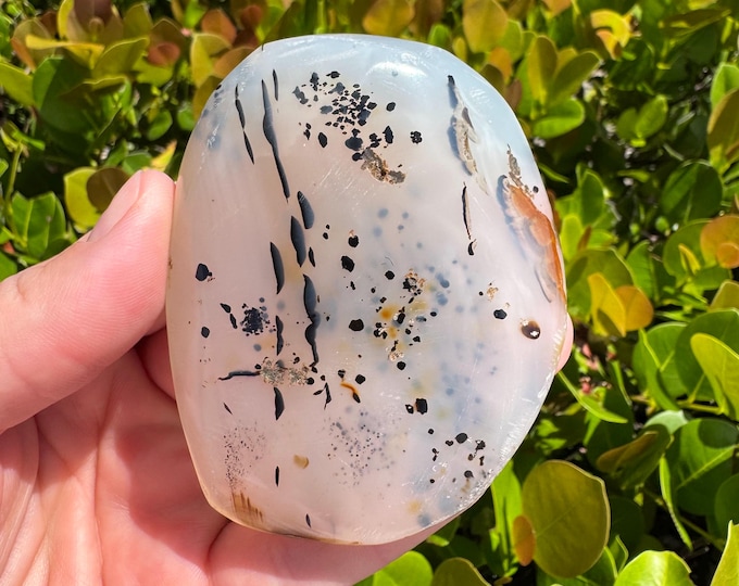 Natural Dendritic Agate Tumbled Stone