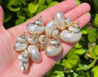 5 Pcs Natural Sea Shell Pendants | Gold Plated Conch Shell | Size 24~31x18~24x15~16mm