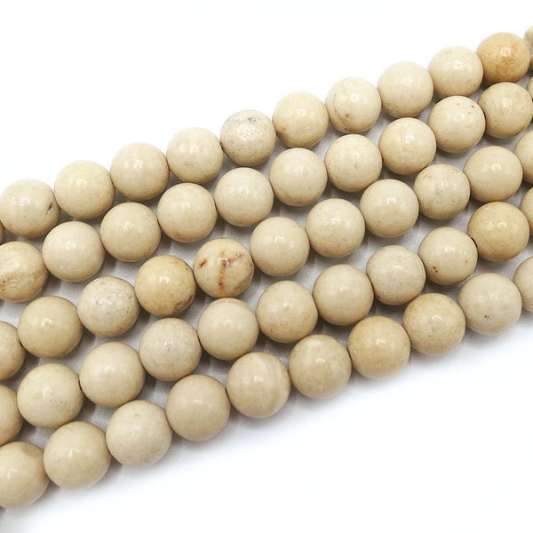 Coral Fossil Beads | Round Polished Natural Gemstone Loose Beads | Sold by Strand | Size 4mm 6mm 8mm 10mm 12mm