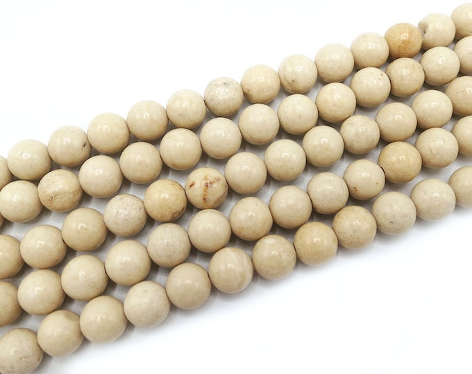 Natural Coral Fossil Gemstone Round Beads | Sold by 15 Inch Strand | Size 4mm 6mm 8mm 10mm 12mm
