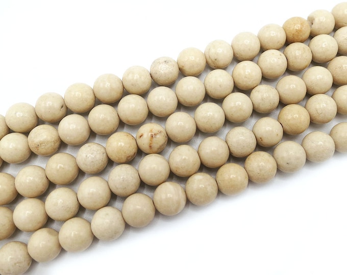 Coral Fossil Beads | Round Polished Natural Gemstone Loose Beads | Sold by Strand | Size 4mm 6mm 8mm 10mm 12mm